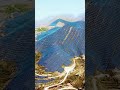 Esslucky Energy Storage Systems #batteryenergystorage #energymanagement #energystorage #ess