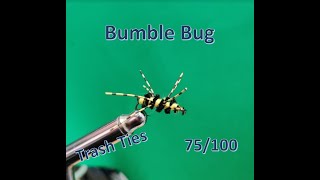 First 100 flies, Bumble Bug 75/100