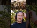 The army of Attila the Hun