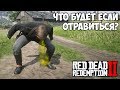 ЧТО БУДЕТ ЕСЛИ ОТРАВИТЬСЯ В RDR 2 - МАКСИМАЛЬНАЯ ИНТОКСИКАЦИЯ [Выпуск #10]