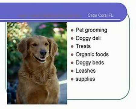 dog grooming cape coral fl dog grooming cape coral fl
