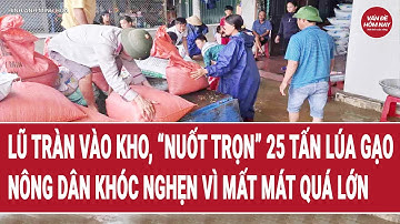 Lũ tràn vào kho, “nuốt trọn” 25 tấn lúa gạo, nông dân khóc nghẹn vì mất hàng trăm triệu đồng