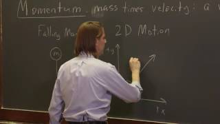 OpenStax AP Physics Chapter 8.1: Momentum Vector