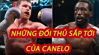 NHỮNG ĐỐI THỦ NẶNG KÝ TIẾP THEO CỦA ÔNG VUA hạng SIÊU TRUNG Canelo Alvarez l TRẬN NÀO ĐÁNG CHỜ NHẤT