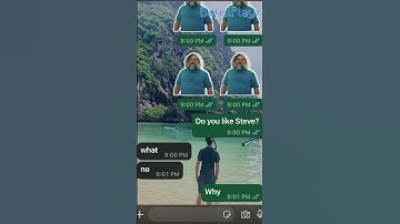 Spamming Steve to my friend! #shorts #minecraft #aminecraftmovie #iamsteve