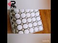 Rn mark inc egg printer