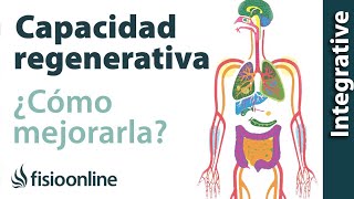 Cómo mejorar tu capacidad regenerativa desintoxicando tu cuerpo