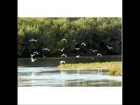 الرقة درة الفرات