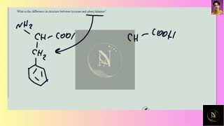 [Chemistry] What is the difference in structure between tyrosine and phenylalanine?