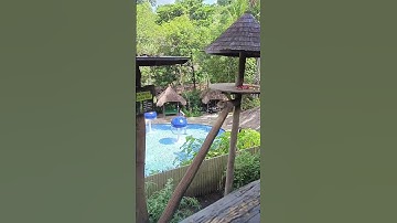 fasilitas kolam renang untuk anak di bali zoo #foryourpage #jalanjalan #bali #zoo #gianyarbali #fyp