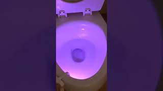 GlowBowl GB001 Motion Activated Toilet Nightlight (1 Pack) 