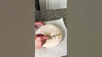 Sourdough Bread Basic Scoring! 🥖