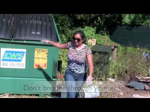 Students Recycle at Stetson University