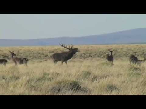 Patagonia (Video).- Argentina Outdoor Adventures.-