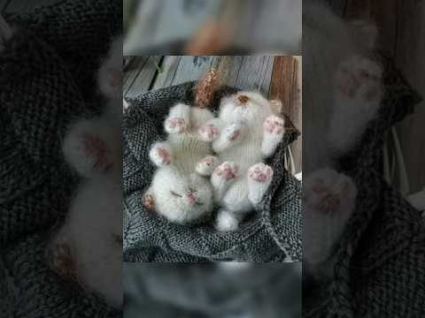 😳Самые милые игрушки #животные