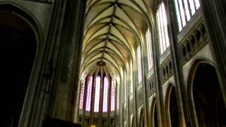 Canto en la catedral de Orleans