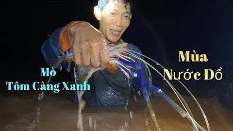 Ra sông hậu mò tôm càng xanh về nấu những tô mì đậm vị quê hương | Cù Lao Dung Vlogs #524