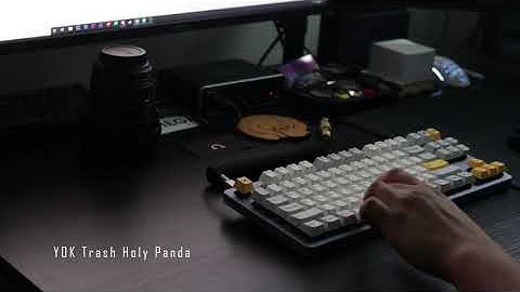 YOK Trash Holy Panda Lubed w/ TriboSys 3203 | Quick Sound Test