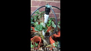 DIY Hydroponic Tower Garden with Stackable Planters: Step-by-Step Build and Setup