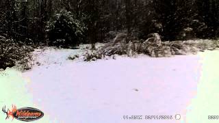 Snowfall in Greenville, SC