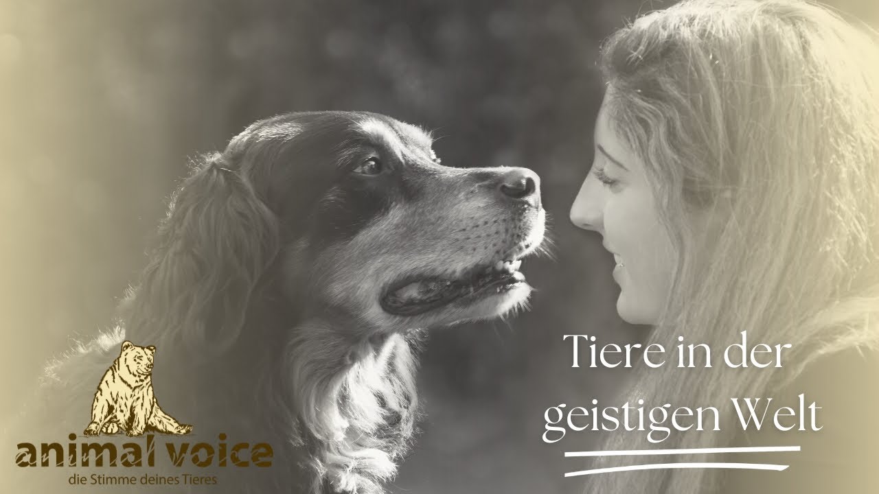 Tiere in der geistigen Welt – Kontakt mit verstorbenen Haustieren