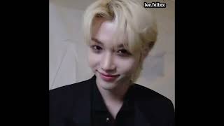 Felixin En Yakın Arkadası Olsaydın Galerin Nasıl Olurdu? Şfet