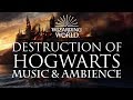 Harry Potter Music & Ambience | Aftermath of the Battle of Hogwarts