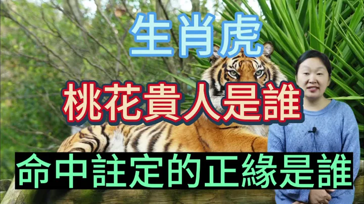 生肖屬虎！命中註定的正緣是誰？屬虎人的桃花貴人是誰？生肖屬相虎人必看！#生肖 #愛情 #桃花運 #情感 - 天天要聞