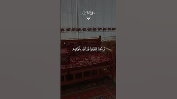 من سورة الصف 🤍❤️ تلاوة خاشعة للشيخ ماهر المعيقلي #قران #القران_الكريم  #راحة_نفسية #تلاوة_خاشعة