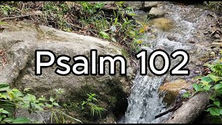"You are the same, and your years have no end" | Psalm 102