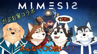 【ゲーム配信】がぶお家でくず拾いします！！