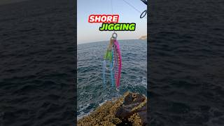 Shore Jigging