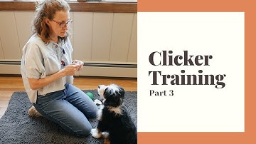 Clicker Training Part 3: Capturing a Good Behavior | Sarah Says Pets