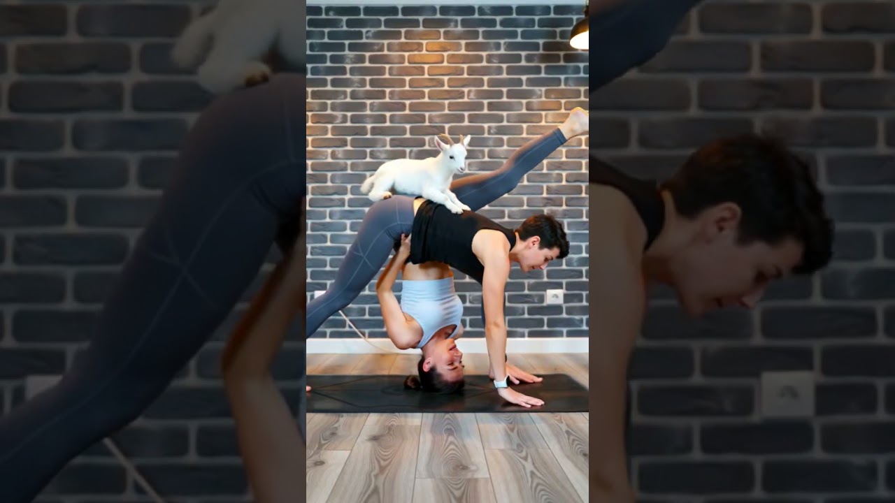 FurReal Funnies Shorts #7 Goat Yoga Chaos