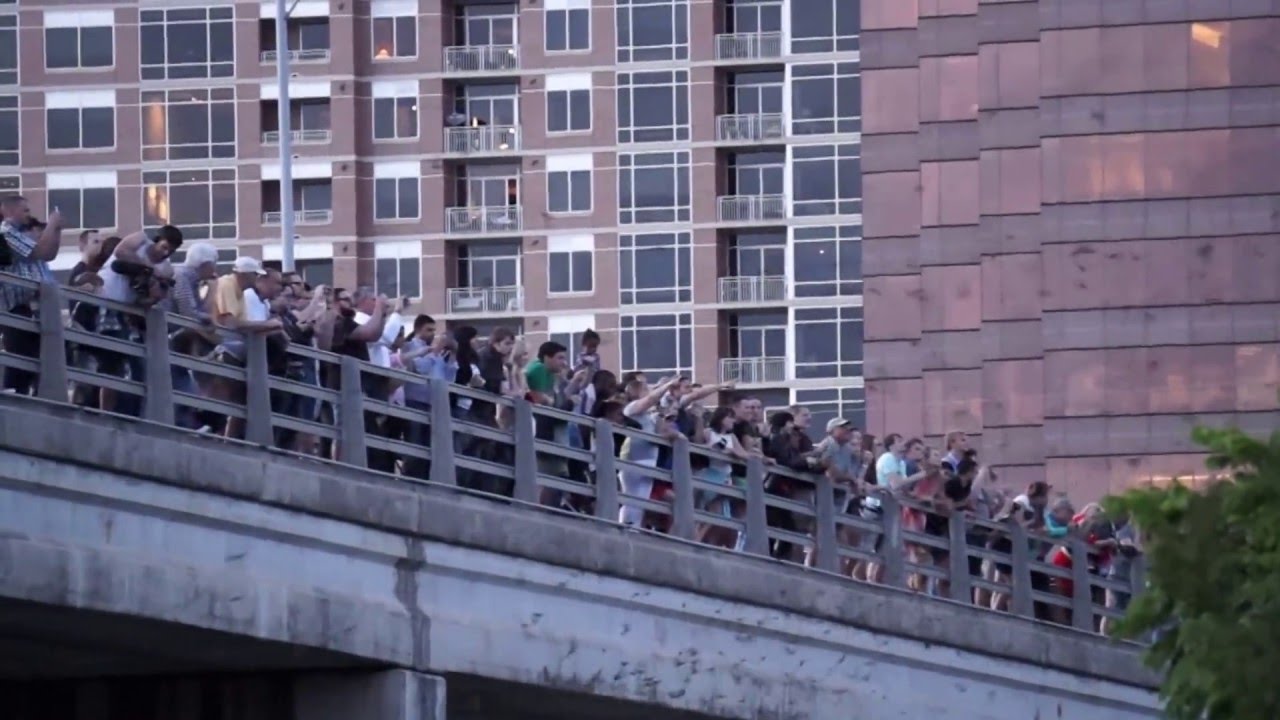 Bats in Austin YouTube