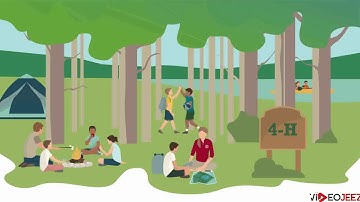 Cornell - Infographics Animated Video