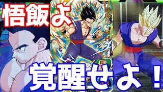 【これめちゃくちゃ強かった】UGM2弾UR孫悟飯:SH(映画仕様)を ...