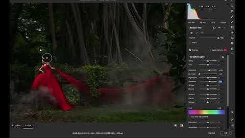 simple editing in nik collection  color efex pro 4 .