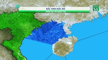 Thời tiết biển 30/08/2019: Thời tiết xấu trên hầu khắp các vùng biển| VTC14