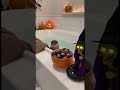 HALLOWEEN OTTER SHOCK|The Splash Panic #AIhalloween #otter #GlitchRealityAI