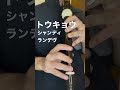 【うる星やつらED】トウキョウ・シャンディ・ランデヴをリコーダーで吹いてみた！