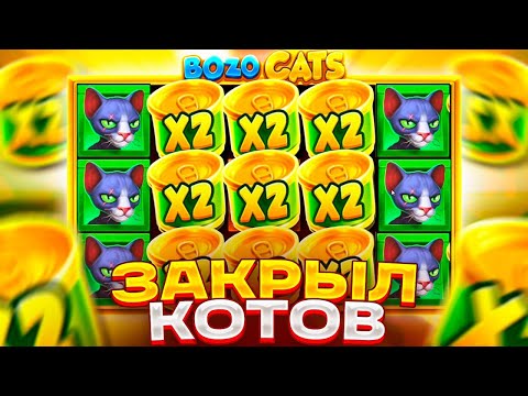 Видео: КАМБЭК С 20К И МЕГА ЗАНОС В BOZO CATS! ЗАКРЫЛ ЛИНИЮ КОТОВ ЧЕРЕЗ 3 ВИЛДА ! ОТМАЗКА В БОЗО КЭТС