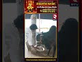 Amma Nanna Anada Ashramam | Sri Punyalingeshwara Swamy Kshetram || Orphans Trust || Choutuppal | RTV