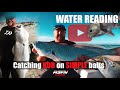 Catch kob on chokka-sardine Baits | Water Reading!!! | ASFN Rock & Surf