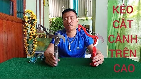 ĐẦU KÉO CẮT TỈA CÀNH CÂY HÁI HOA QUẢ TRÊN CAO THUẬN TIỆN MẪU NHƯ VIDEO CHUẨN CHO MỌI GIA ĐÌNH 