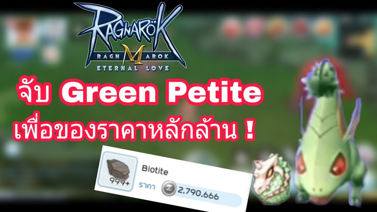 [Ragnarok M] ไปจับ Green Petite มาเป็นแรงงานให้ไปหาของหลัก ล้าน