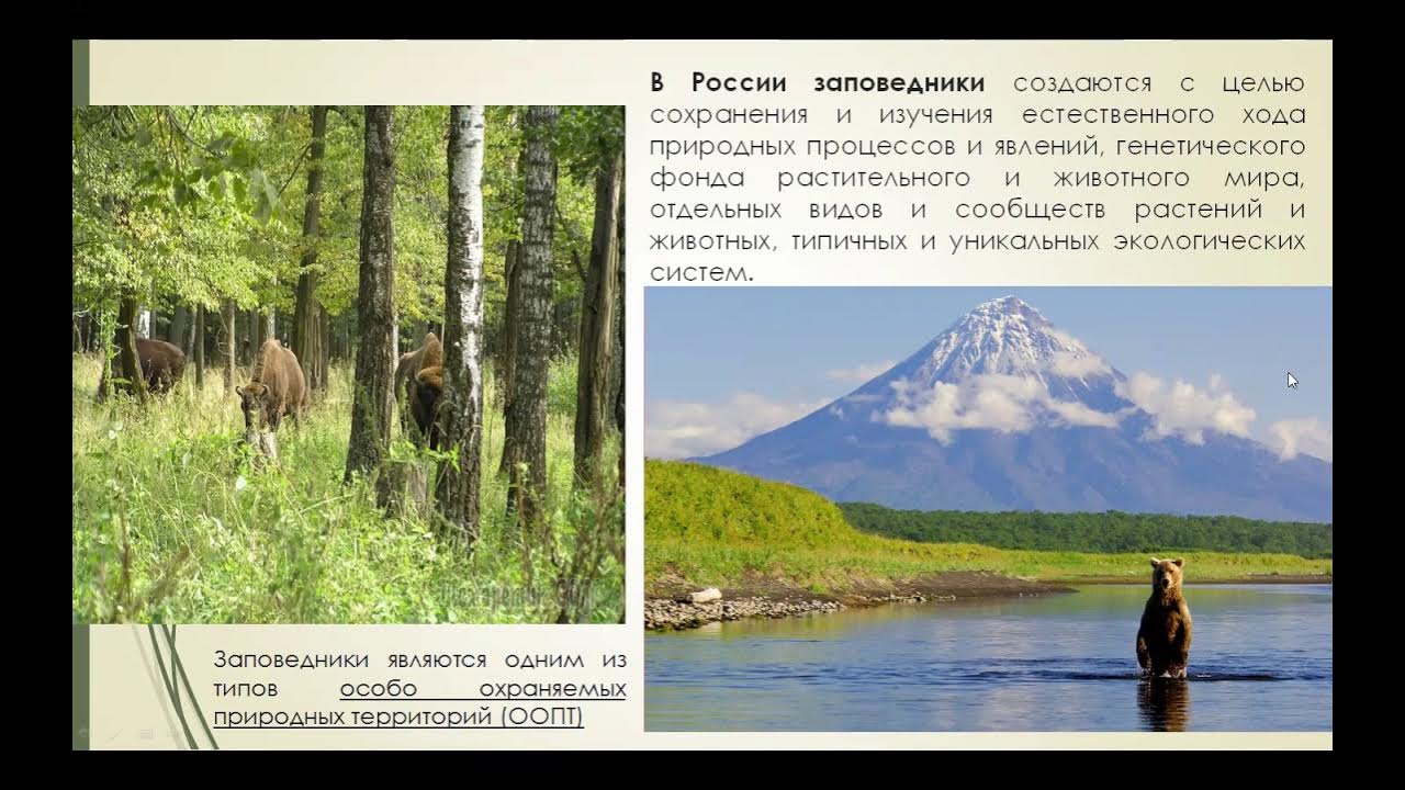 Какой символ заповедника и почему. Охрана заповедника. для чего создаются заповедники.