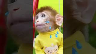 What Did The Alien Just Do?