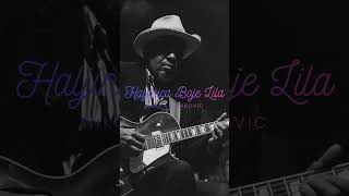 Haljinica Boje Lila - Blues Covers 2001S