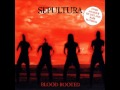 Sepultura - War